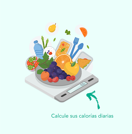 Calculate your daily intake of calories